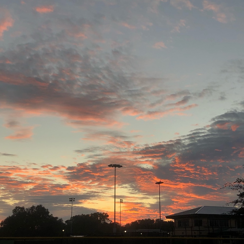 Meet your Posher, Juliet